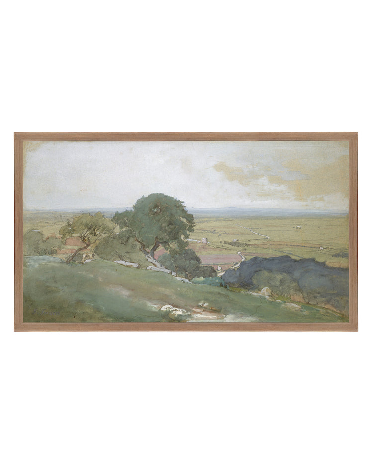 Olivos