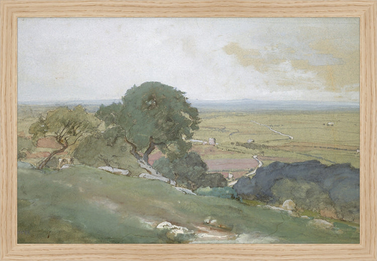 Framed Olivos. Frame: Natural Oak. Paper: Rag Paper. Art Size: 10x15. Final Size: 11'' X 16''