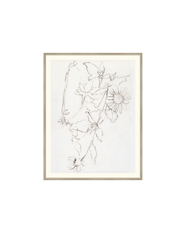 Botanical Study III HoJ