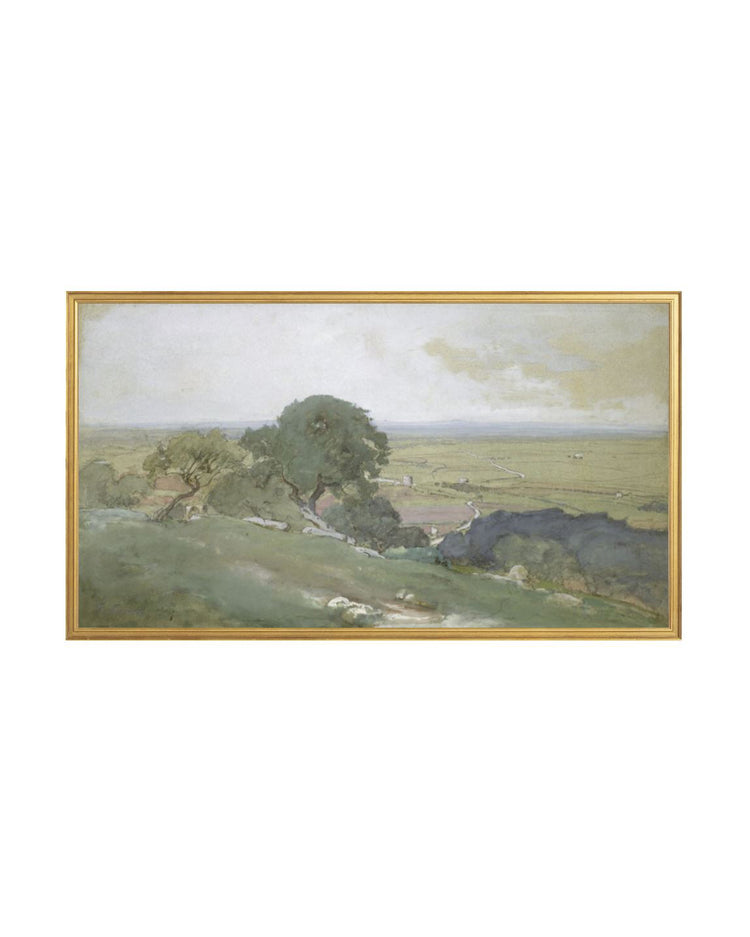 Olivos