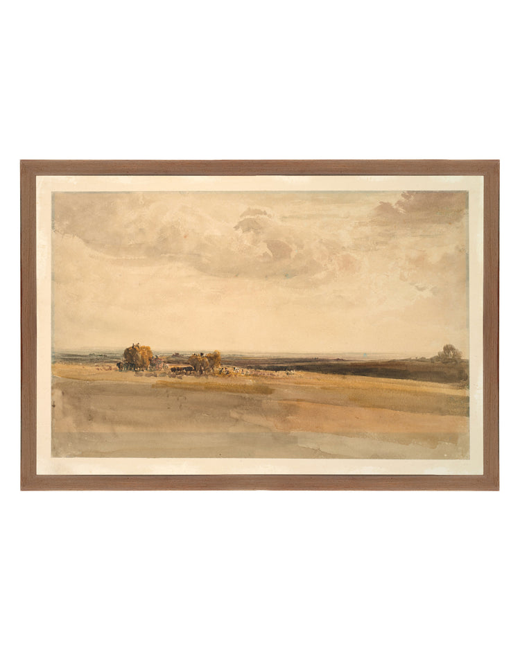 Wheat Field