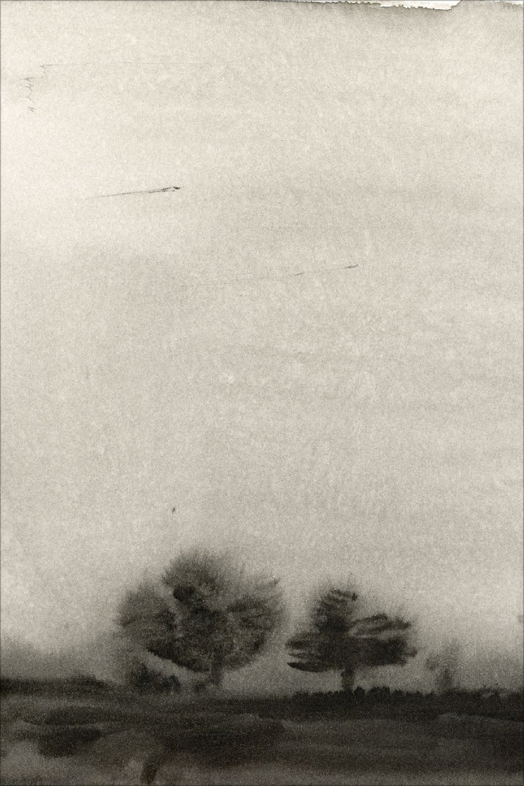 Trees In The Mist OAShop 2