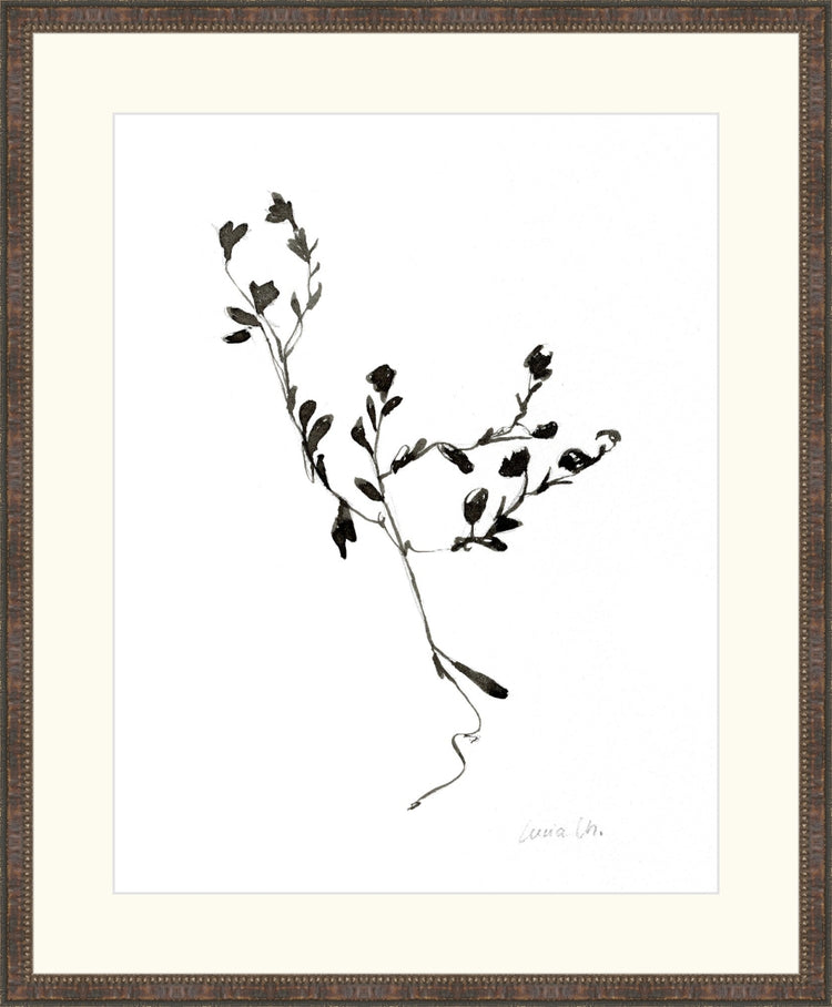 Uploaded Art:Novoa viernes0008 copy.jpg. Frame: Brown Beaded. Paper: Smooth Paper. Art Size: 18x14. Final Size: 23'' X 19''