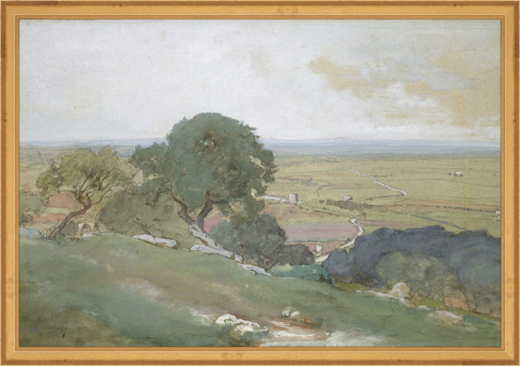 Framed Olivos. Frame: Traditional Gold. Paper: Rag Paper. Art Size: 13x19. Final Size: 14'' X 20''