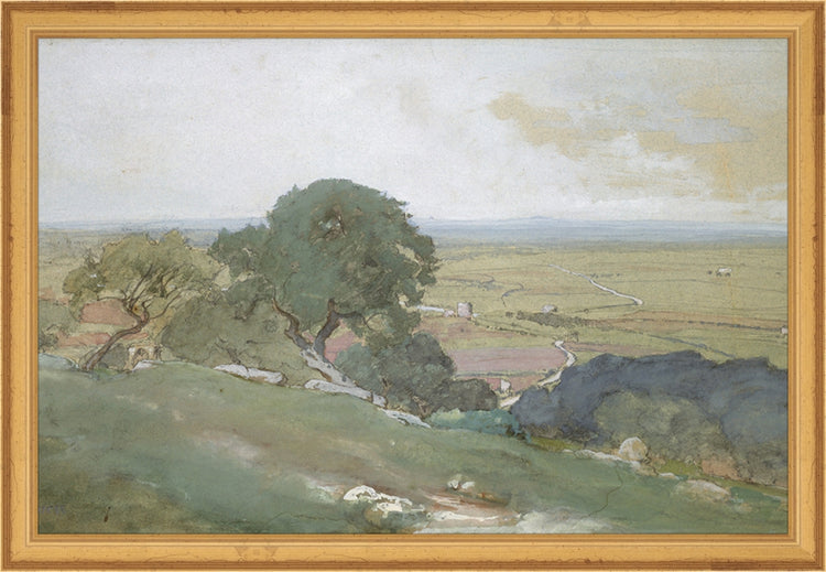 Framed Olivos. Frame: Traditional Gold. Paper: Rag Paper. Art Size: 10x15. Final Size: 11'' X 16''