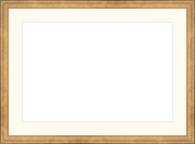Timeless Gold Frame. Opening Size: 10x15. Final Size: 14'' X 19''