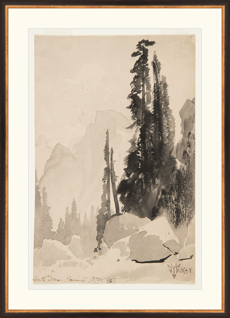 Antique Trees Drawing OAShop 2