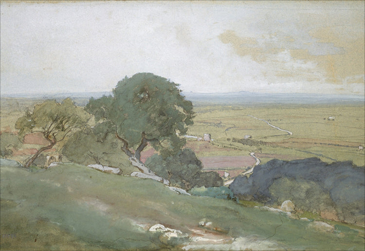 Framed Olivos. Frame: No Frame. Paper: Rag Paper. Art Size: 11x16. Final Size: 11'' X 16''