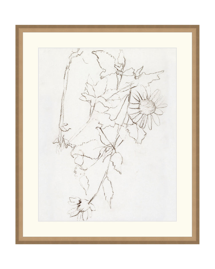 Botanical Study III