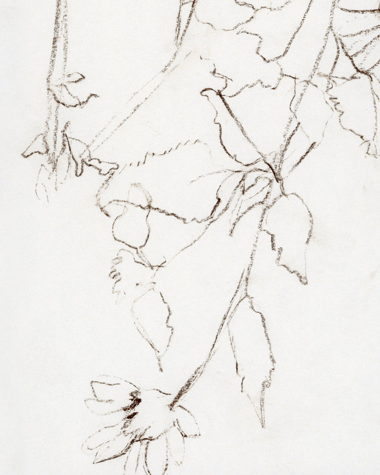 Botanical Study III