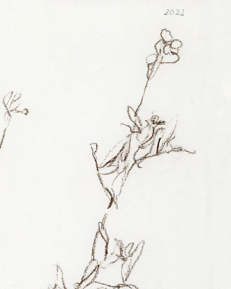 Botanical Study I