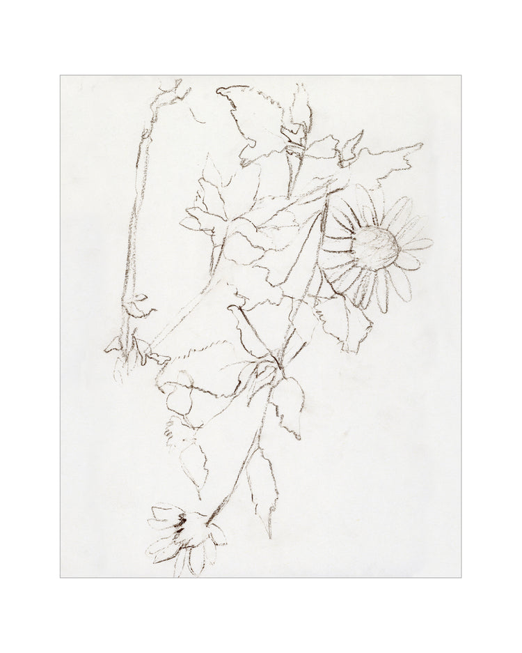 Botanical Study III