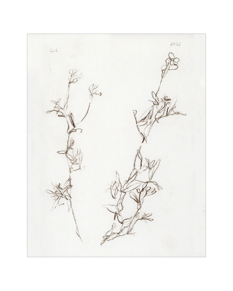 Botanical Study I