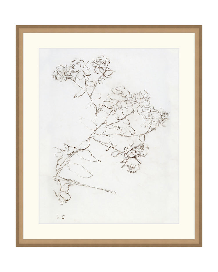 Botanical Study II