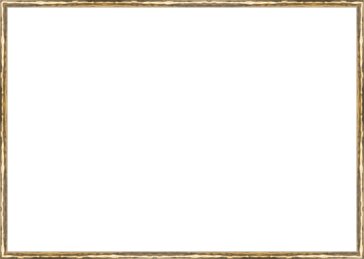 Gold Textured Frame. Opening Size: 19x27. Final Size: 19'' X 27''