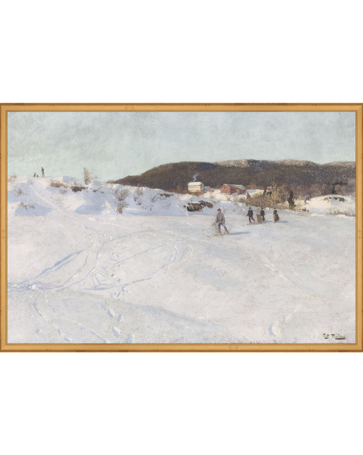 Ice Skating