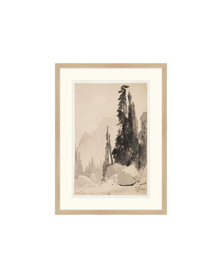 Antique Trees Drawing OAShop