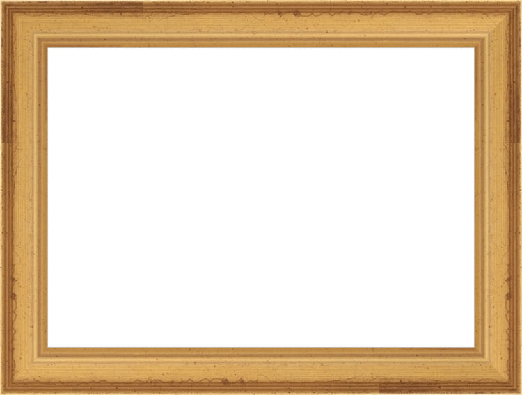 Traditional Gold Frame. Opening Size: 5x7. Final Size: 6'' X 8''