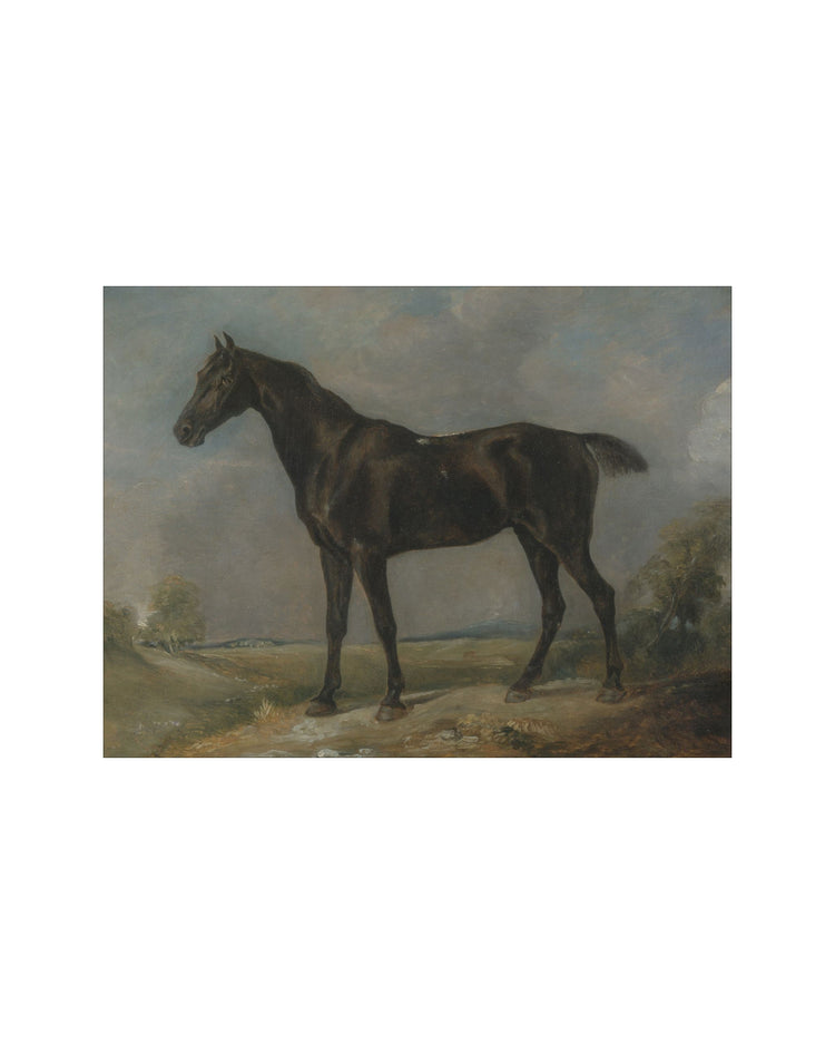 Study of a Horse II