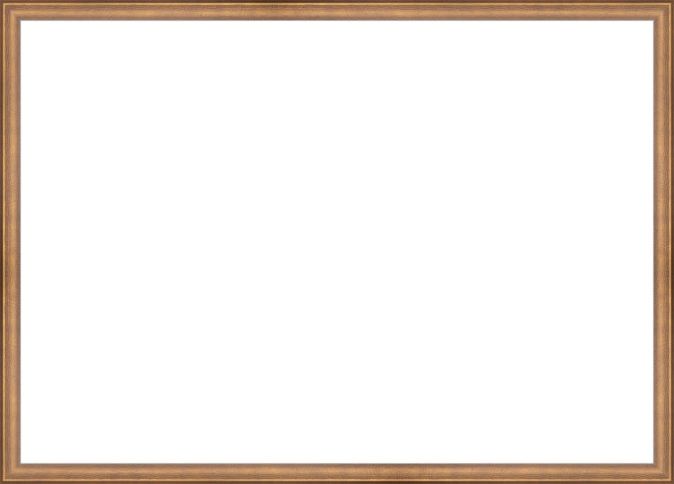 Timeless Bronze Frame. Opening Size: 19x27. Final Size: 20'' X 28''