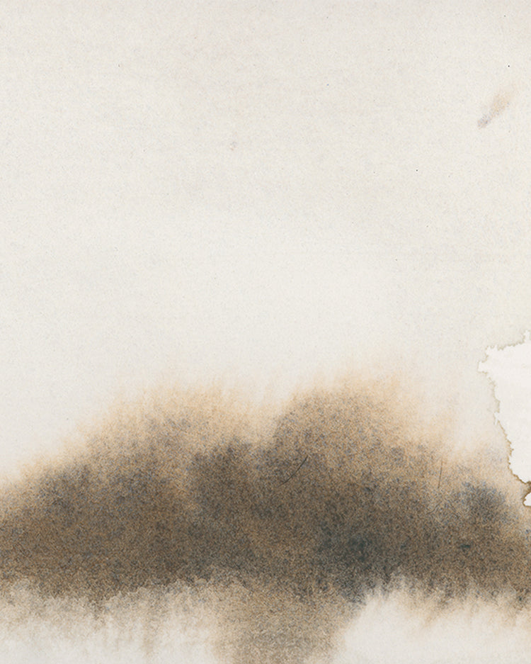 Wash on Wash Study