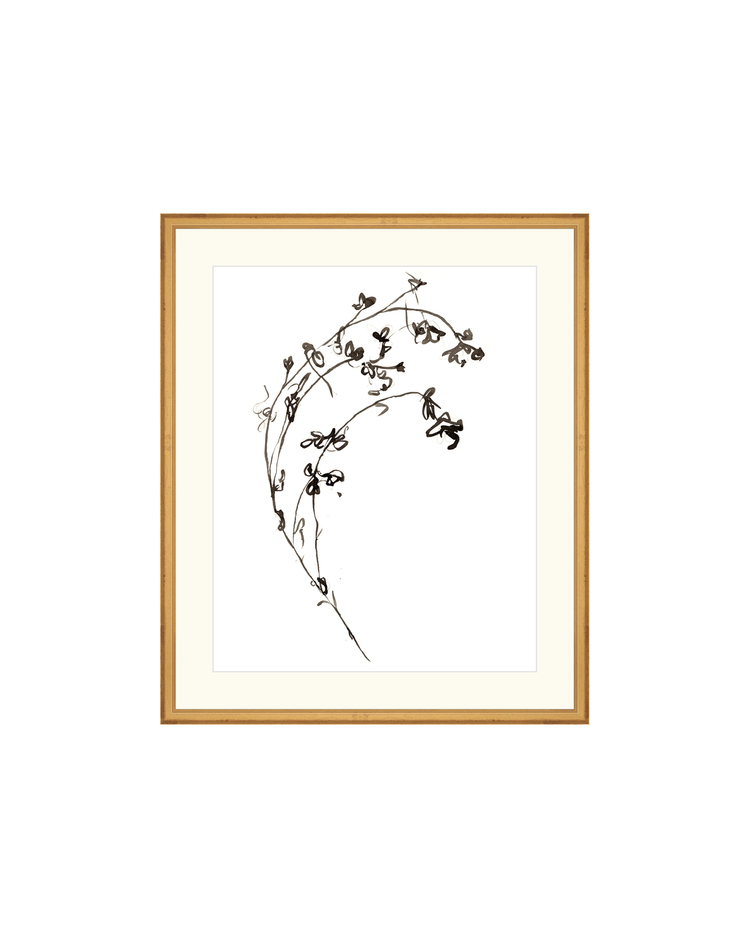 Botanical Ink Study I HoJ