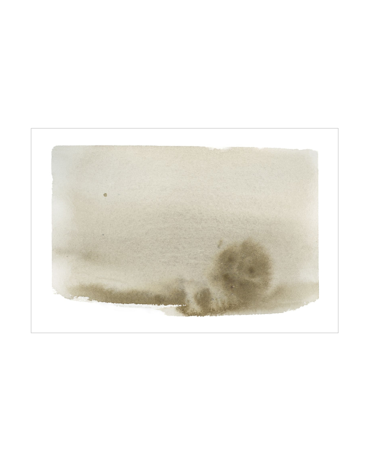 Olive Wash OAShop