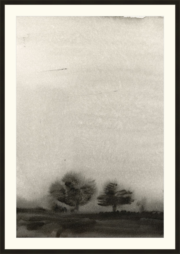 Trees In The Mist OAShop 2