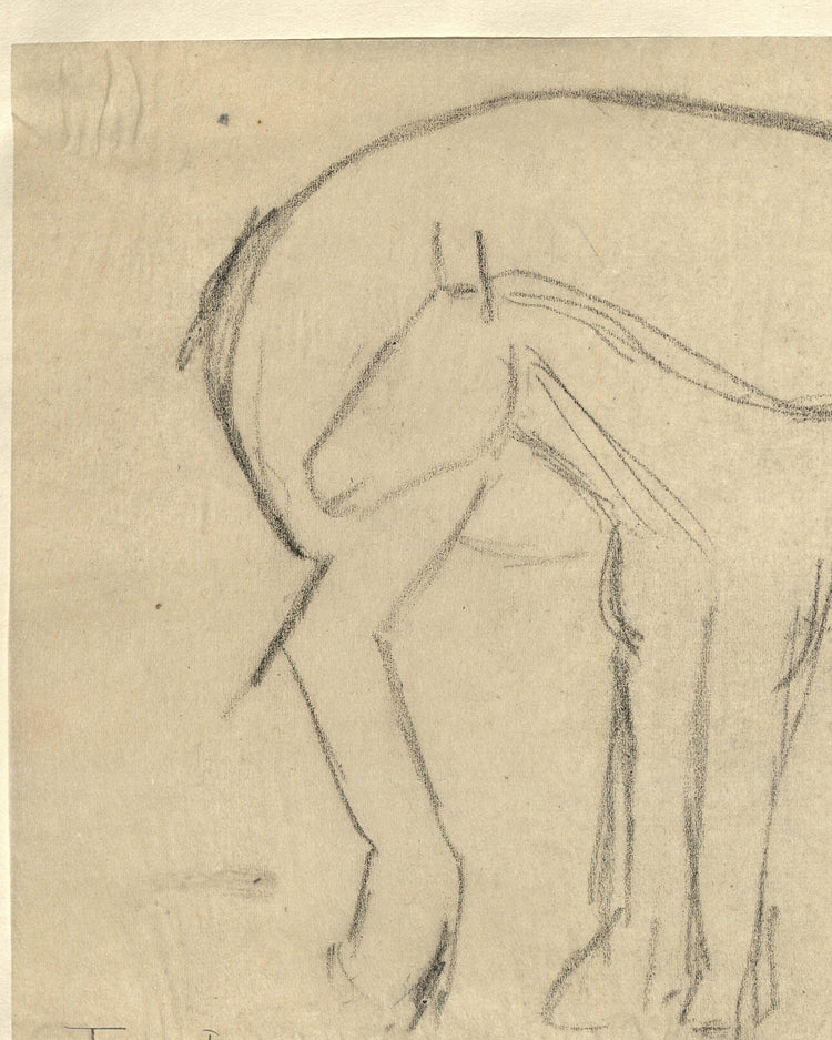 Mare and Foal