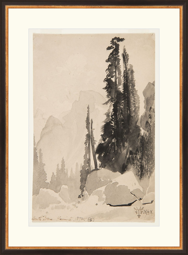 Antique Trees Drawing OAShop 2