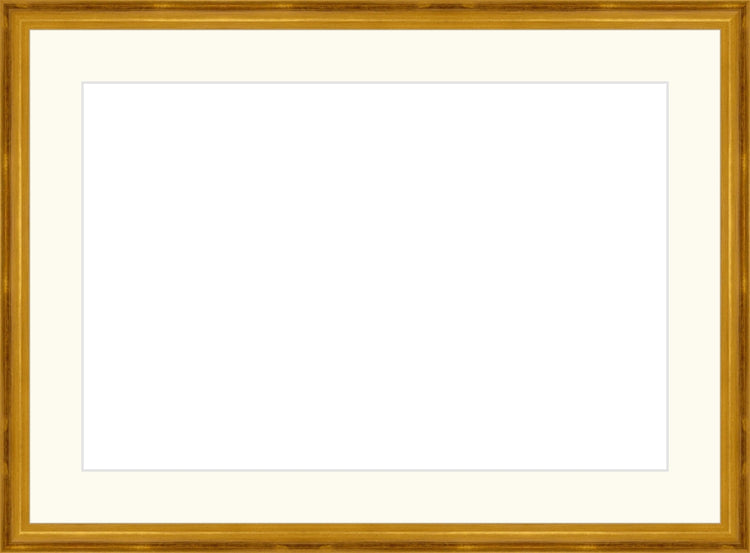 Classic Gold Frame. Opening Size: 10x15. Final Size: 14'' X 19''