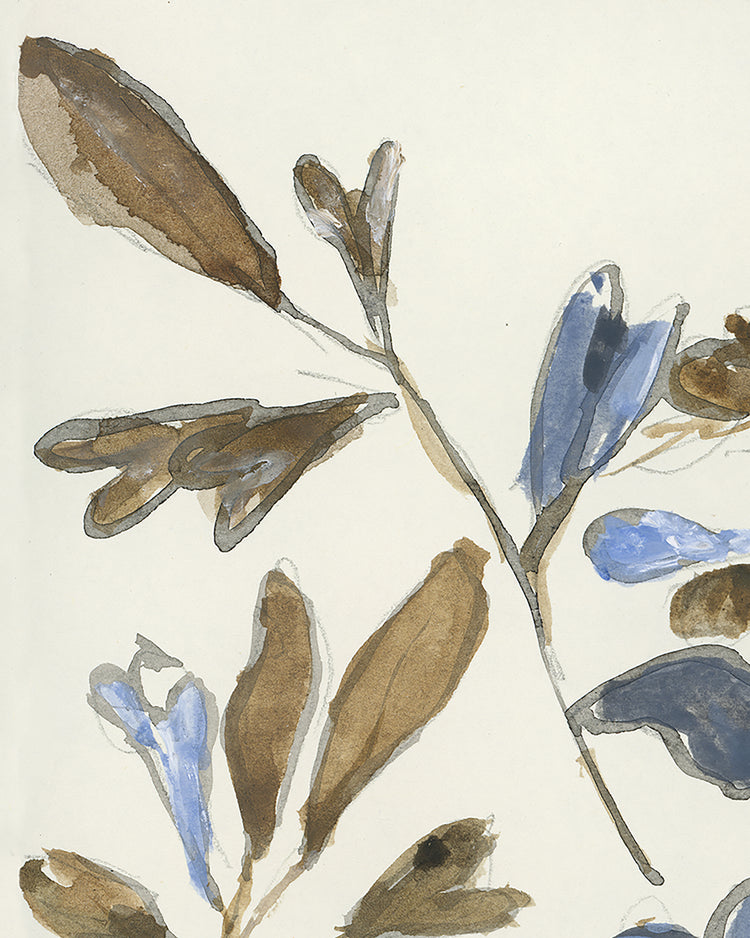 Botanical Color Study