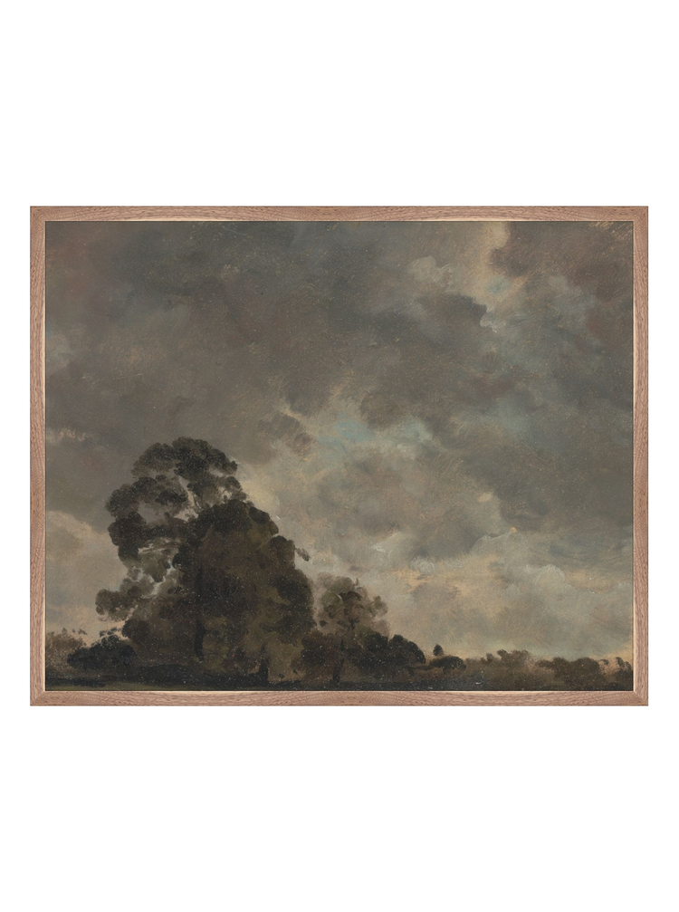 Trees on the Horizon HoJ 2