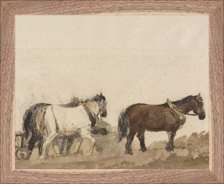 Watercolor Horses HoJ