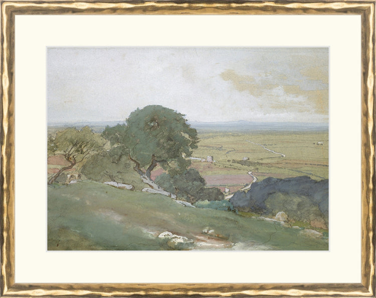 Framed Olivos. Frame: Gold Textured. Paper: Rag Paper. Art Size: 8x11. Final Size: 11'' X 14''