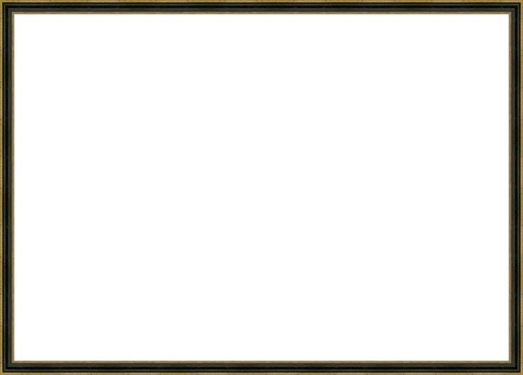 Espresso and Gold Frame. Opening Size: 19x27. Final Size: 20'' X 28''