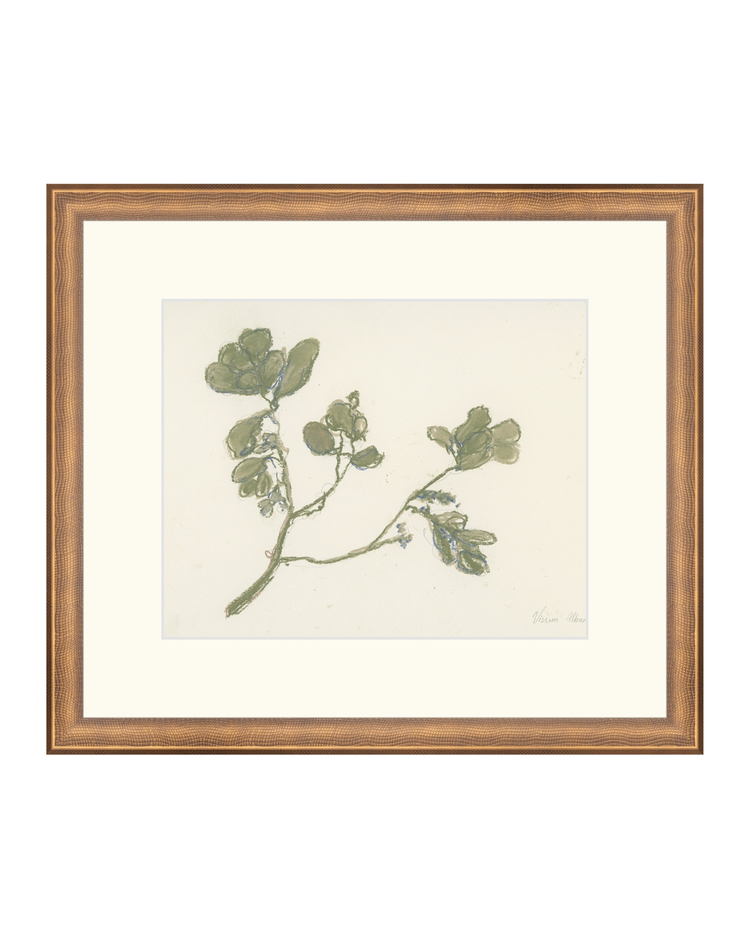 Pastel Mistletoe