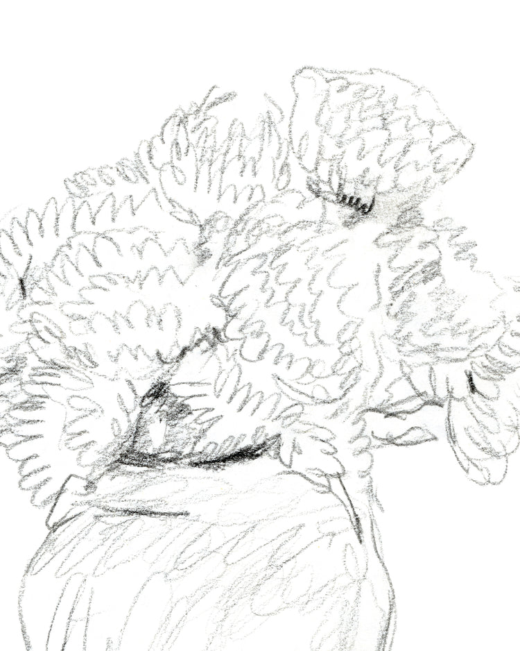 Flower Vase Sketch