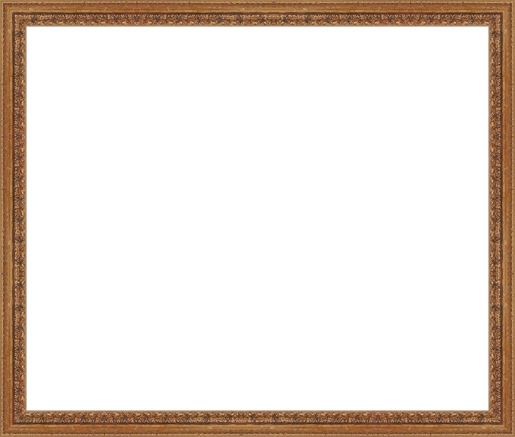 Madrid Gold Frame. Opening Size: 15x18. Final Size: 16'' X 19''