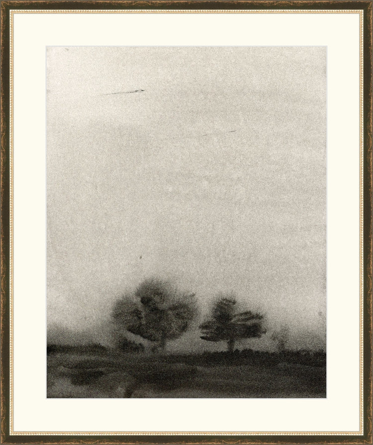 Trees In The Mist OAShop 2