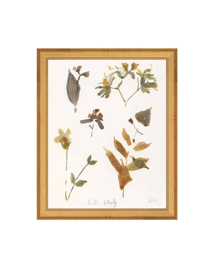 E.D Botanical Study