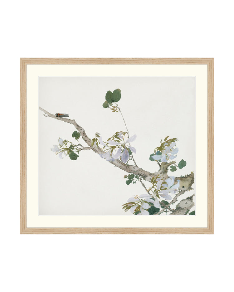 Spring Garden II
