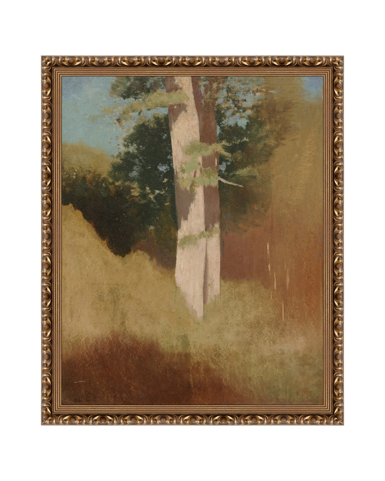 Oil Tree Study