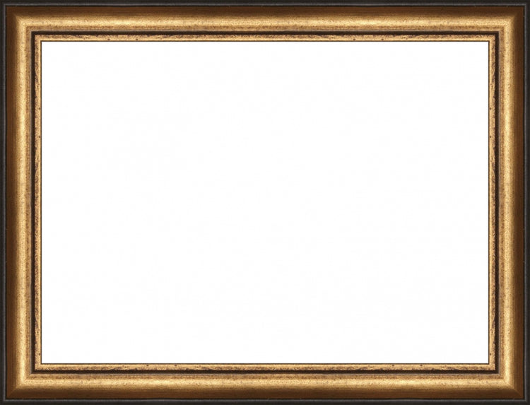 Distressed Gold and Black Frame. Opening Size: 8x11. Final Size: 9'' X 12''