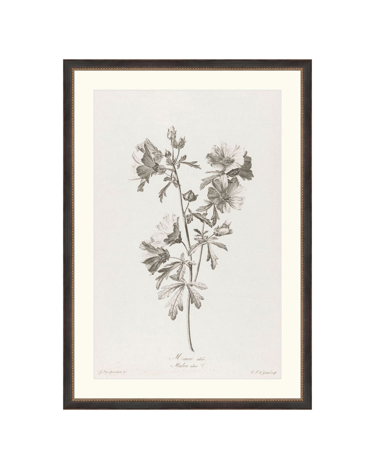 Floral Drawing