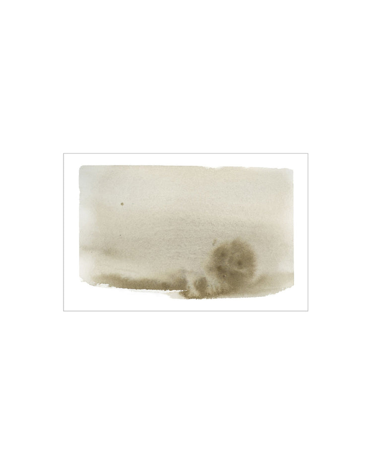 Olive Wash