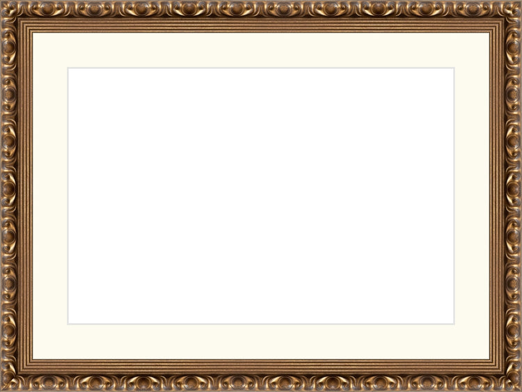 Gold Ornate Frame. Opening Size: 10x15. Final Size: 15'' X 20''