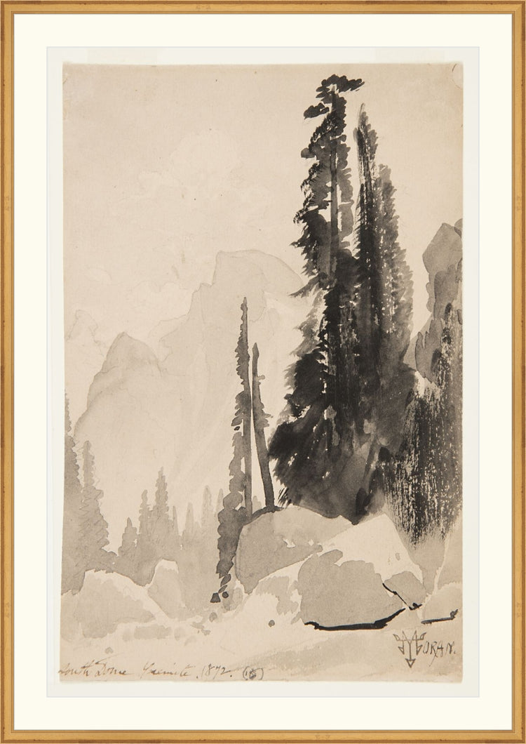 Antique Trees Drawing OAShop 2