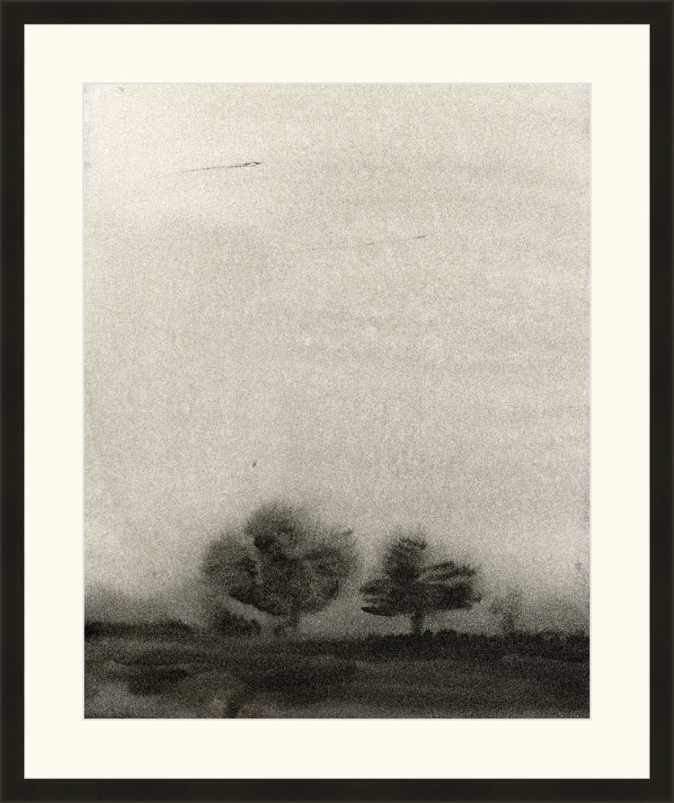 Trees In The Mist OAShop 2