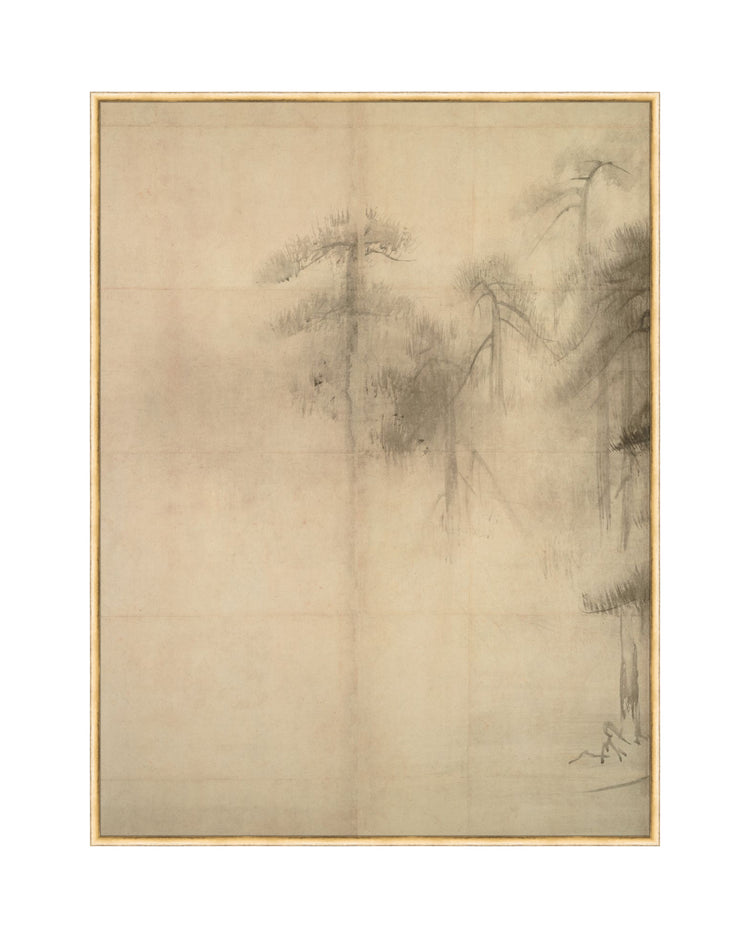 Pine Trees I